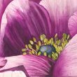Sleeping Beauty by Mary Lyn Gough